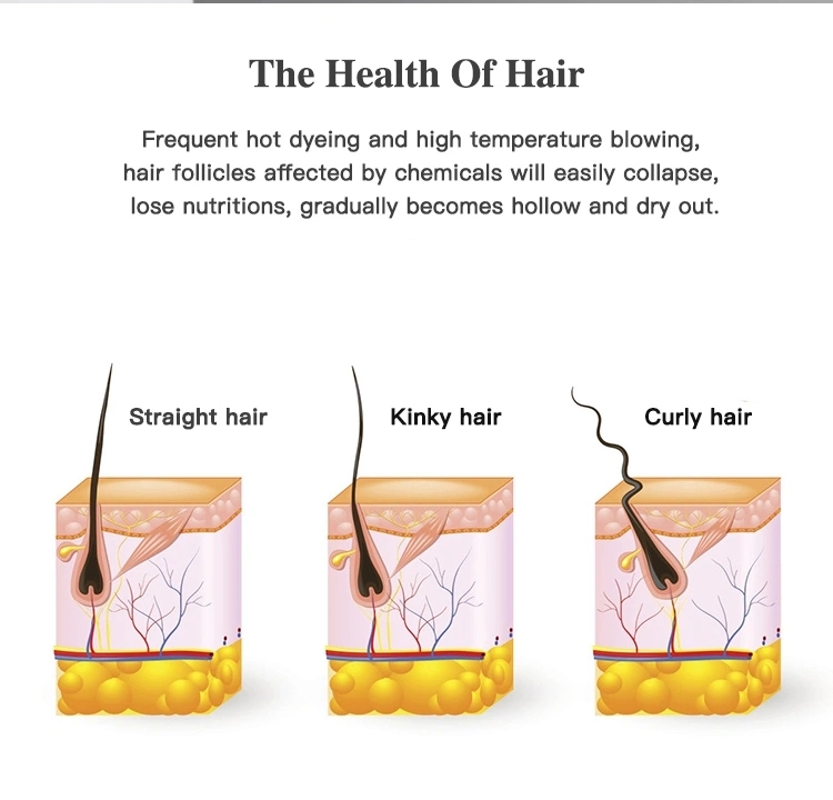 Aifujia Factory Hot Sales VIP Hair Color Argan Oil Italian Shampoo Hair Loss and Deep Damaged Hair Conditioner