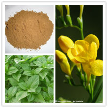 Natural Vanilla Extract Natural Flavors And Fragrances