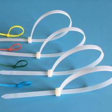 Cable Tie Injection Mould Plastic Cable Tie Mold