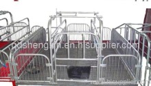 The Newest Metal Pig Farrowing Crates?