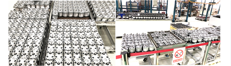 Hydraulic Efficient Rotary Gear Pump