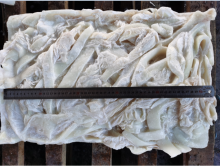 Frozen Squid Leftover Dosidicus Gigas