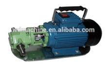 portable electric fuel micro Gear pump