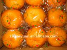 YongChun Mandarin orange (kino)