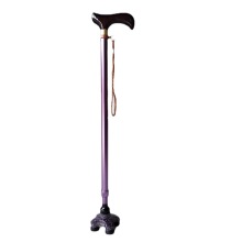 Multifunctional Aluminum Alloy Walking Stick with Exchangeable Foot for Elderly