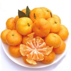 NanFeng Honey Orange