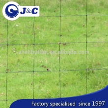 anti Bird protection netting use for vineyard, anti Bird protection net,PE agricultural bird netting