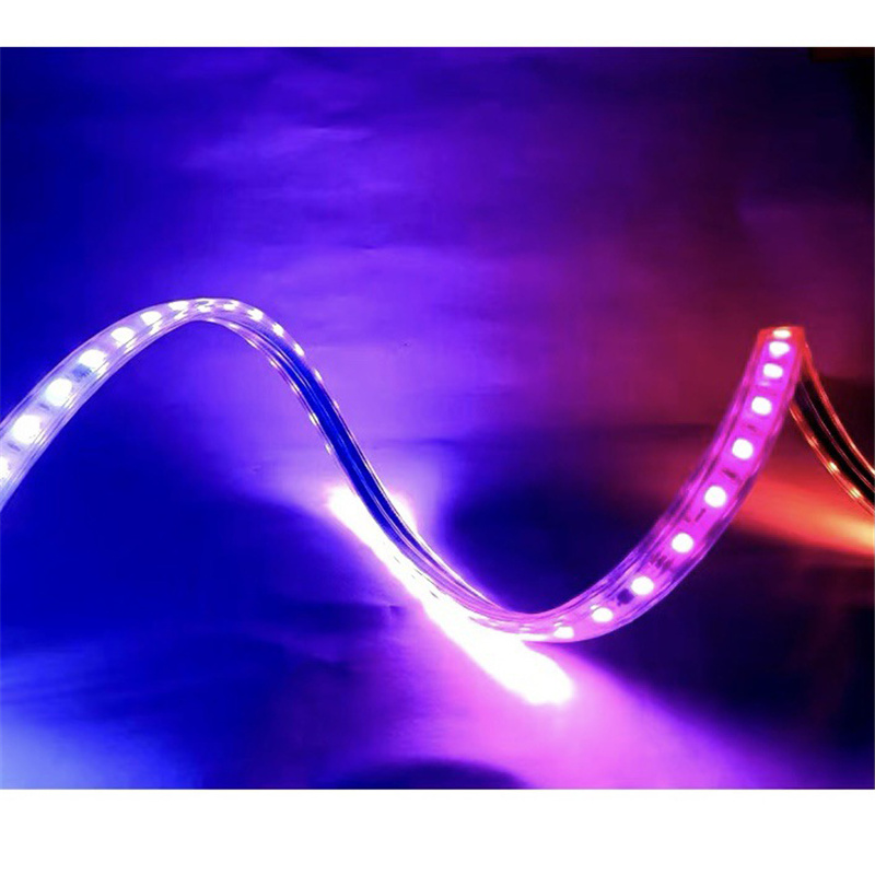220v IP67 Outdoor Strip 60leds 5050 RGB Led Rope High voltage flexible led strip