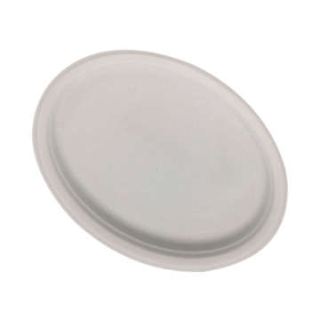 10inch Compostable round sugarcane bagasse paper plate