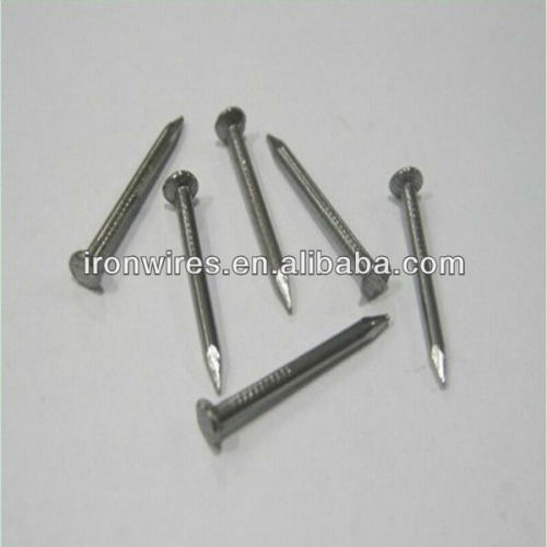 common nails/common wire nails