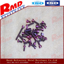 Anodized titanium screw