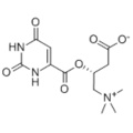 L-carnitine orotate CAS 160468-17-7