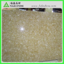 Beautiful Natural Polished Shell Gold Onyx