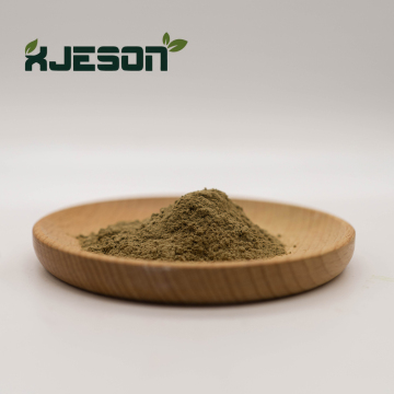 Passiflora Extract/Passionflower Extract Powder