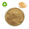 Herbal Panax ginseng Extrait ginsenoside 5% -80% 51542-56-4