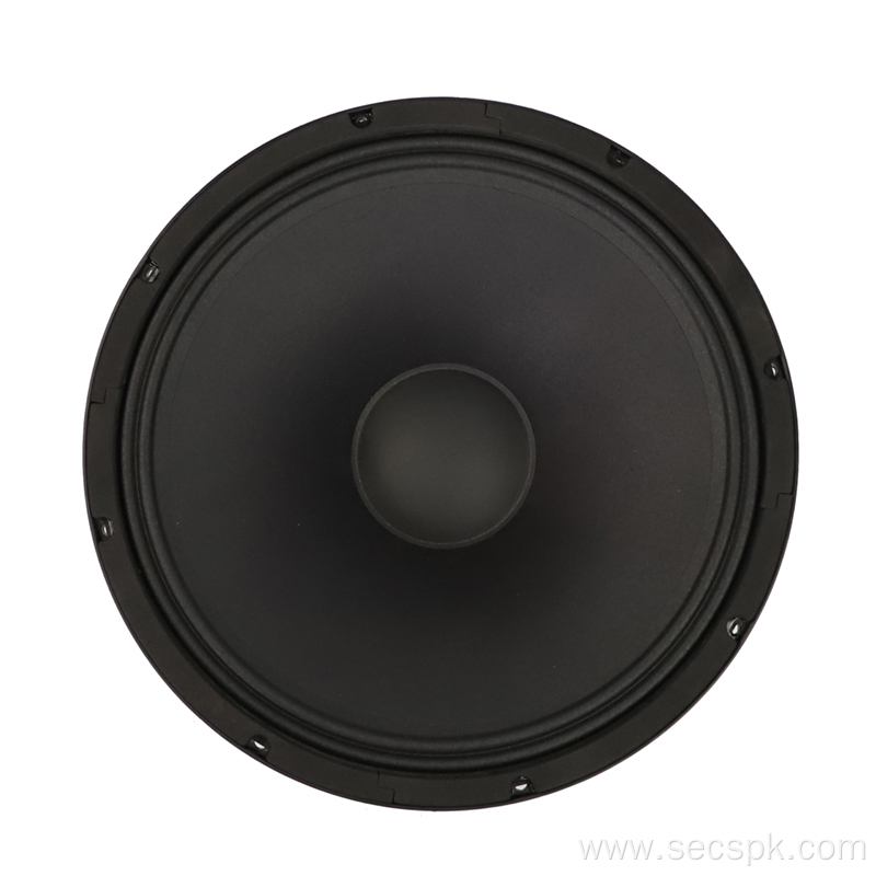 15″  Party/Concert/Opera/Stage  speaker