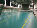 Professionell inomhus Futsal PVC Sport Floor Maple Mönstergolv