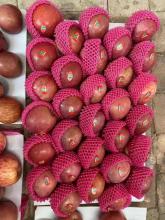 Western Mountain Plastic Bagged FUJI