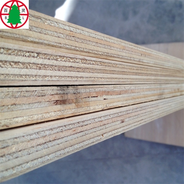 poplar plywood 