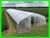 Export to USA Tunnel Greenhouse