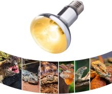 Reptile Lamp 80W 125W 100W 160W UVA UVB
