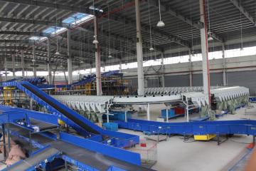 Ring Cross Belt Sorting