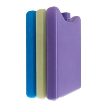 Customized Reusable Plastic Ice Packs for Cooler Boxes