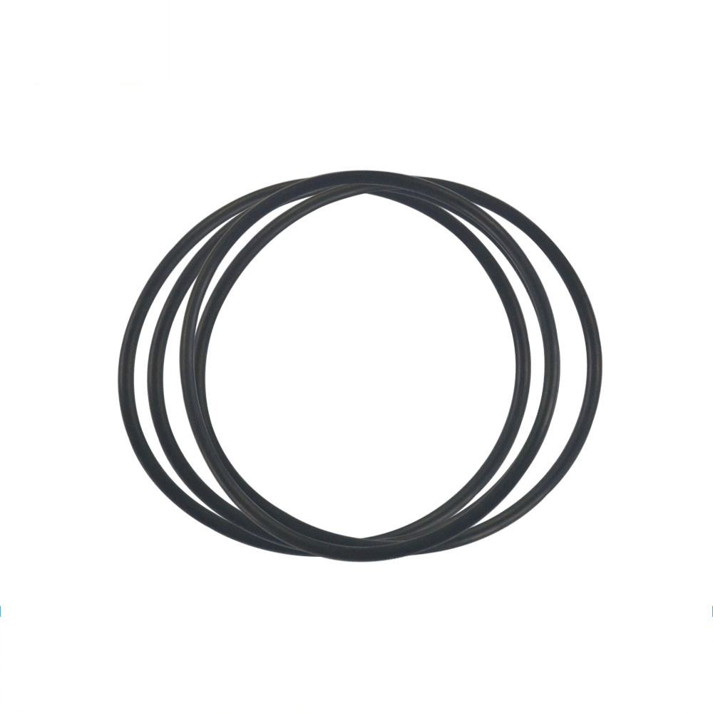 N8000368-O-ring6