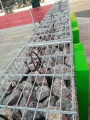 Boîte à gabion soudée revêtu de zinc