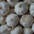 Normaler weißer Knoblauch mit Exportstandards