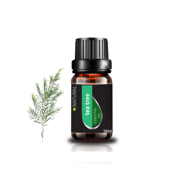 100% pure natural organic Tea tree leaf oil tea tree essentail oil for aromatherapy