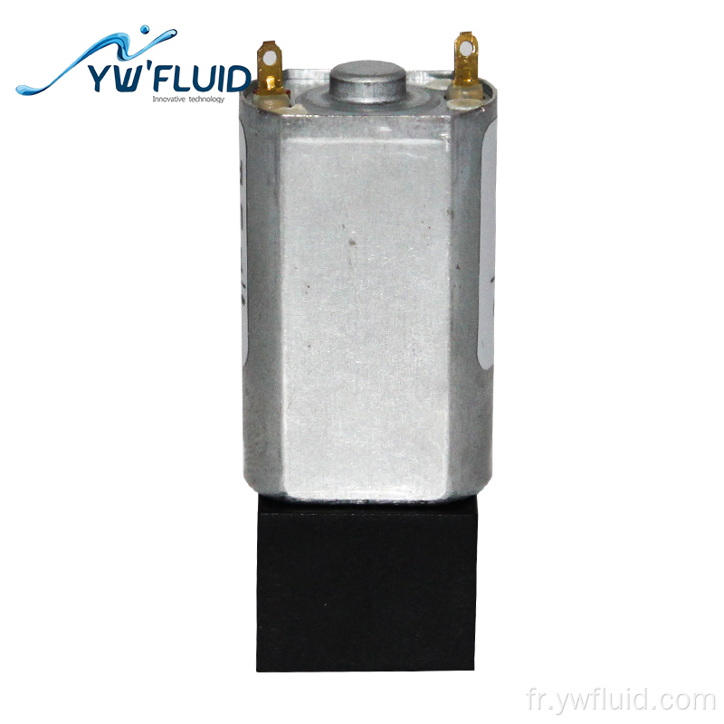 YW11 DC petite pompe à membrane air-eau
