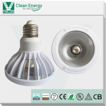 SAA, UL, CB CE, RoHS Waterproof COB LED PAR30