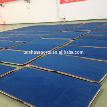 Professional Wushu taolu/kungfu field