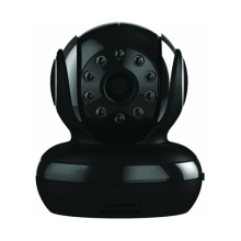 Pet cameras are suitable for remote viewing