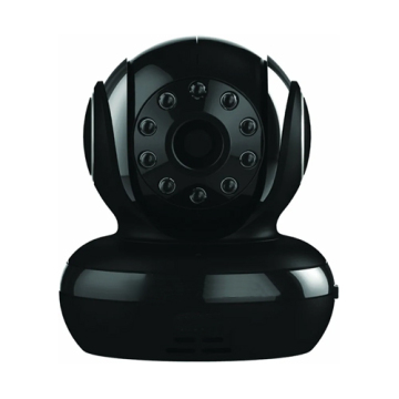 Pet cameras are suitable for remote viewing