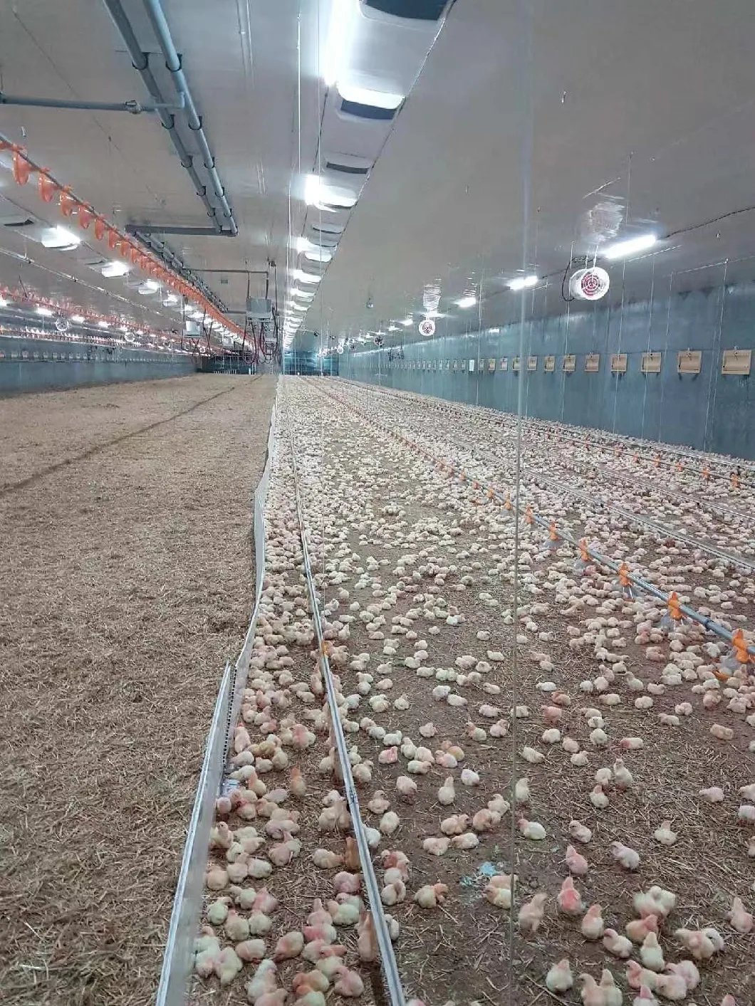 Power-off Memory Function lamp Dimmer for Poultry Lighting