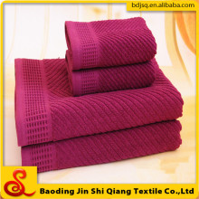 High Quality Solid Color 100% Cotton Terry Bath Towel Set