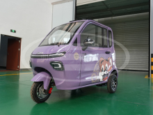 Motorized tricycle for adults