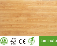 Modern Classic Collection Laminate Tile