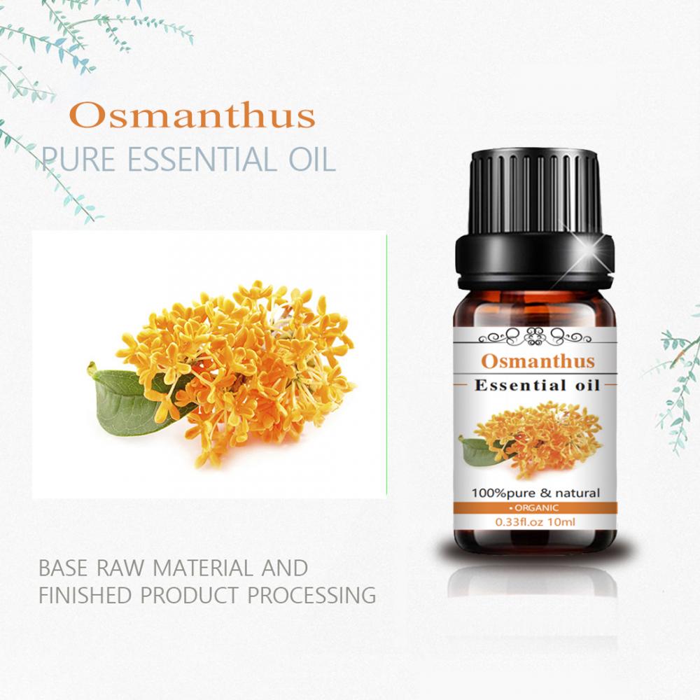 100% puro OSMANTHUS ESENCIAL ACELO ESENTE OFER OSMANTHUS OSMHUS