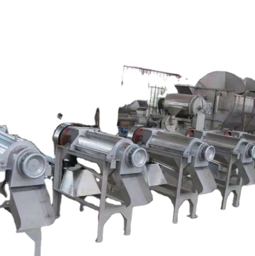 watermelon juice processing machines