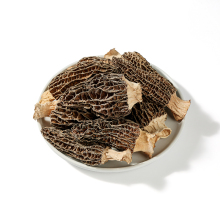 Yang Du Jun Dried Morel Mushrooms - Morchella Conica Esculenta Supplier