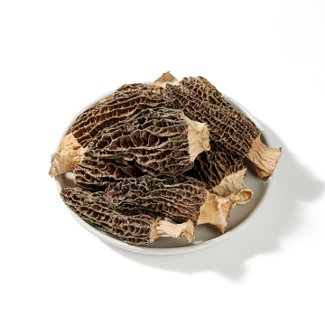 Yang Du Jun Dried Morel Mushrooms - Morchella Conica Esculenta Supplier