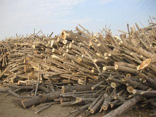 Melamine Sanded Thin Plain Mdf / Veneered MDF Sheets for De