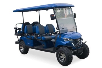 High Performance 6 Passenger Gas Golf Cart
