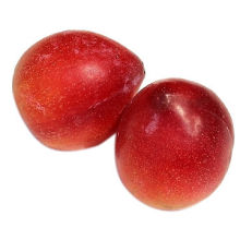 Fruit commodity inspection