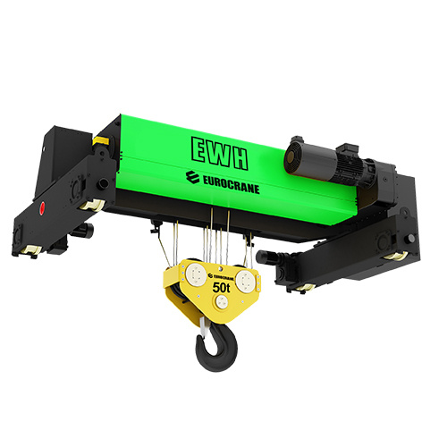 Wire Rope Type Electric Hoist
