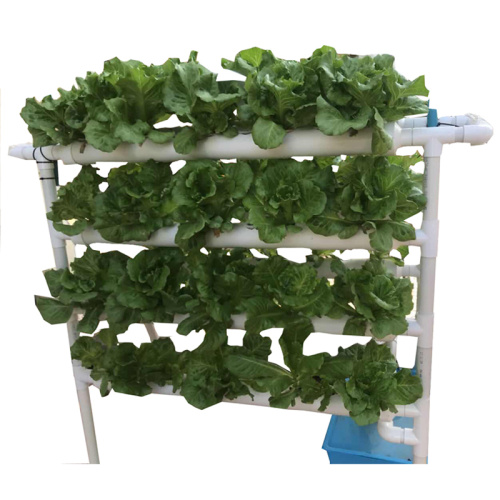 Taman 3 lapisan PVC NFT Hydroponics Equipment