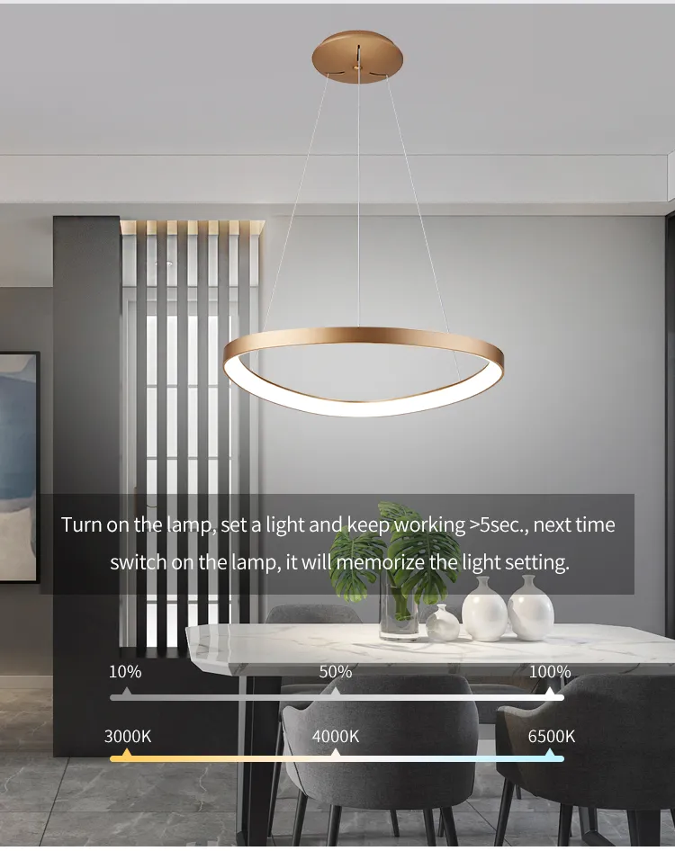 Modern European LED Pendant Light - Stylish Acrylic Chandelier